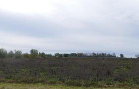 Grevelingenmeer