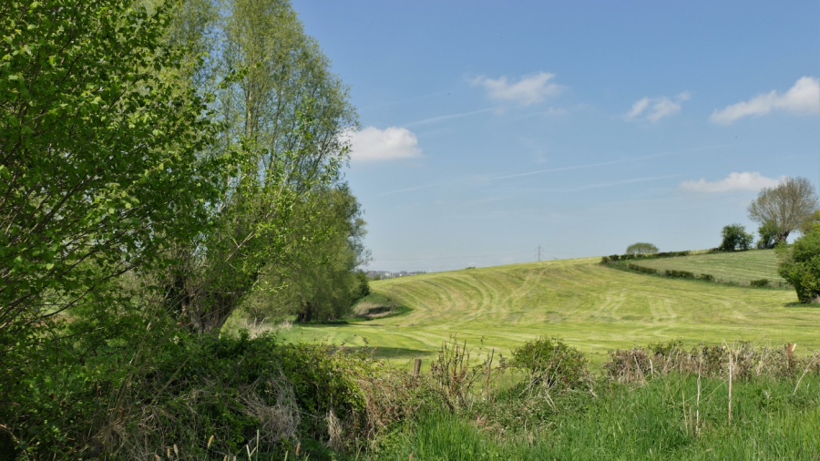 P1090846