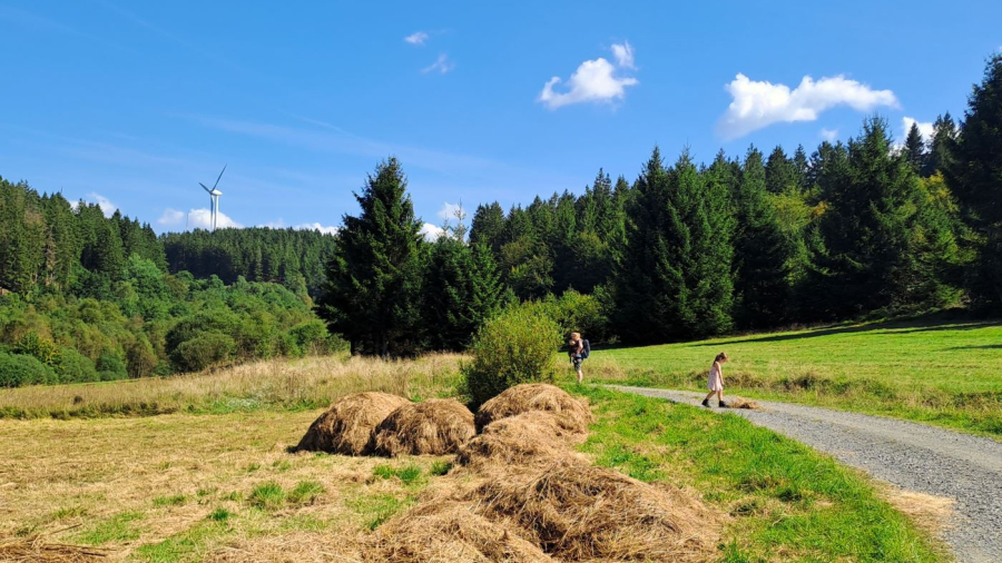 Naturschutzgebied Perlenbach