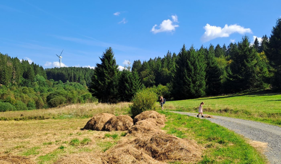 Naturschutzgebied Perlenbach