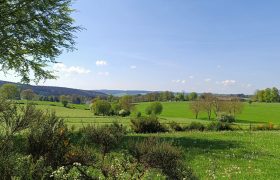 Burg-Reuland