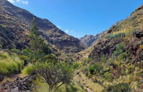 Camino Valle Luis