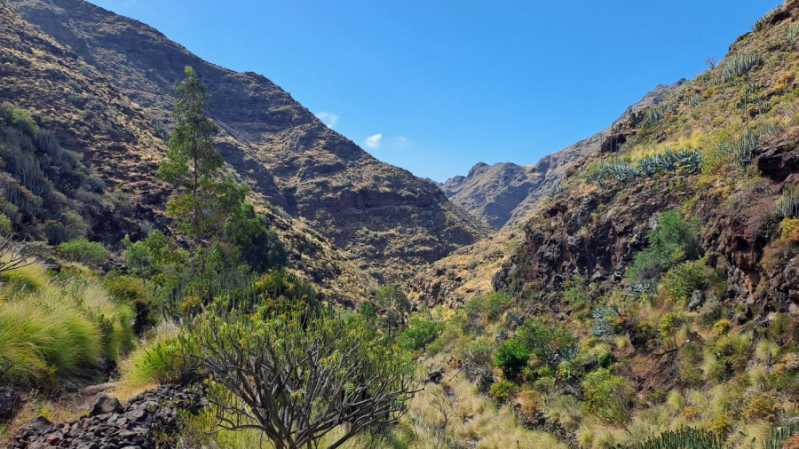 Camino Valle Luis