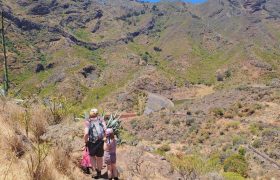 Camino Valle Luis